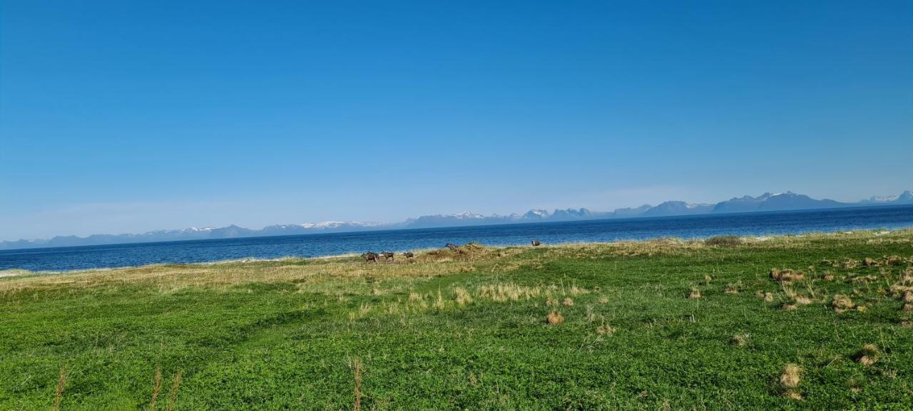 Solheim Guesthouse Dverberg Eksteriør billede