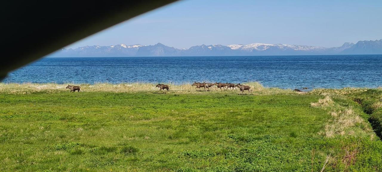 Solheim Guesthouse Dverberg Eksteriør billede